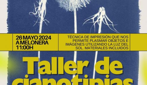 Taller de cianotipias