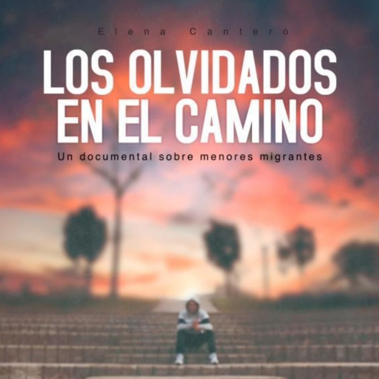 Los Olvidados en el Camino