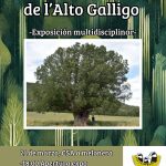 Exposición Árboles Singulares Alto Gállego