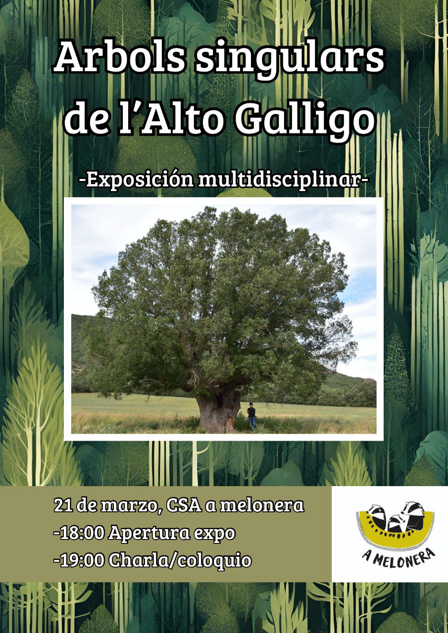 Exposición Árboles Singulares Alto Gállego